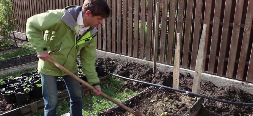 По зарослям хвоща зрозуміла, що земля сильно закислена: ось цей порошок розкислить ґрунт По зарослям хвоща зрозуміла, що земля сильно закислена: ось цей порошок розкислить ґрунт