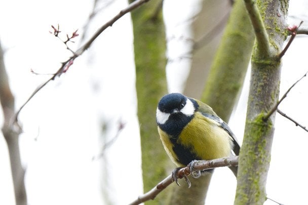 Народні прикмети 19 березня / © unsplash.com