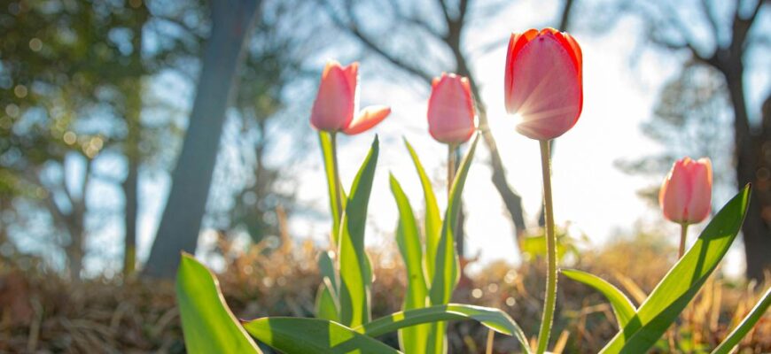 Синоптикиня розповіла, де будуть максимальні +13 градусів, а кому чекати дощ з мокрим снігом Синоптикиня розповіла, де будуть максимальні +13 градусів, а кому чекати дощ з мокрим снігом