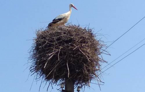До +17. Завтра в Україні буде тепло і комфортно, – Наталка Діденко До +17. Завтра в Україні буде тепло і комфортно, – Наталка Діденко