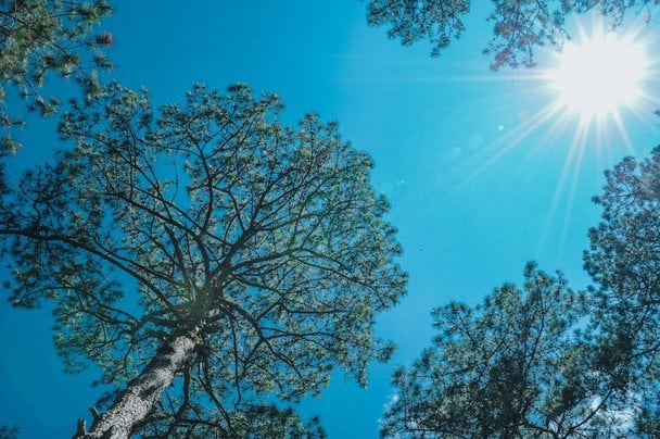 29 березня в Україні переходять на літній час / © pexels.com