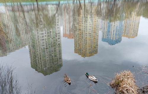 В Україні березень завершиться вологою погодою, – синоптикиня В Україні березень завершиться вологою погодою, – синоптикиня