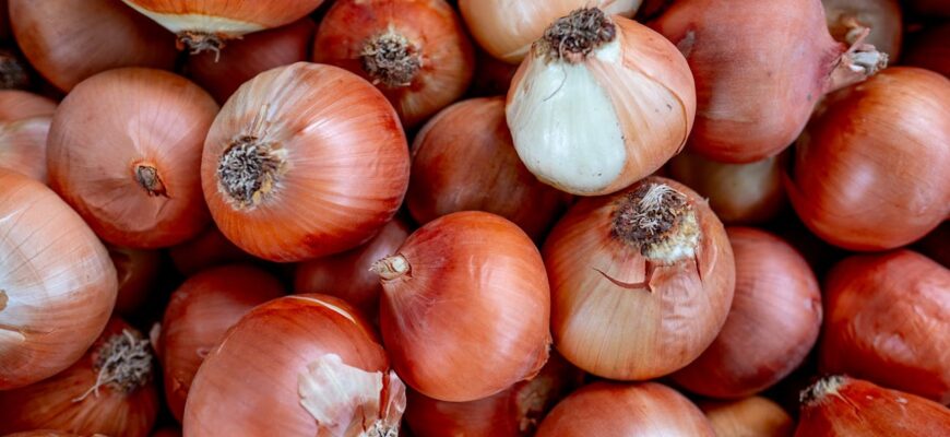 Про це мовчать, але я скажу відверто – цибуля любить лад: 3 головні дії під час весняної висадки Про це мовчать, але я скажу відверто – цибуля любить лад: 3 головні дії під час весняної висадки