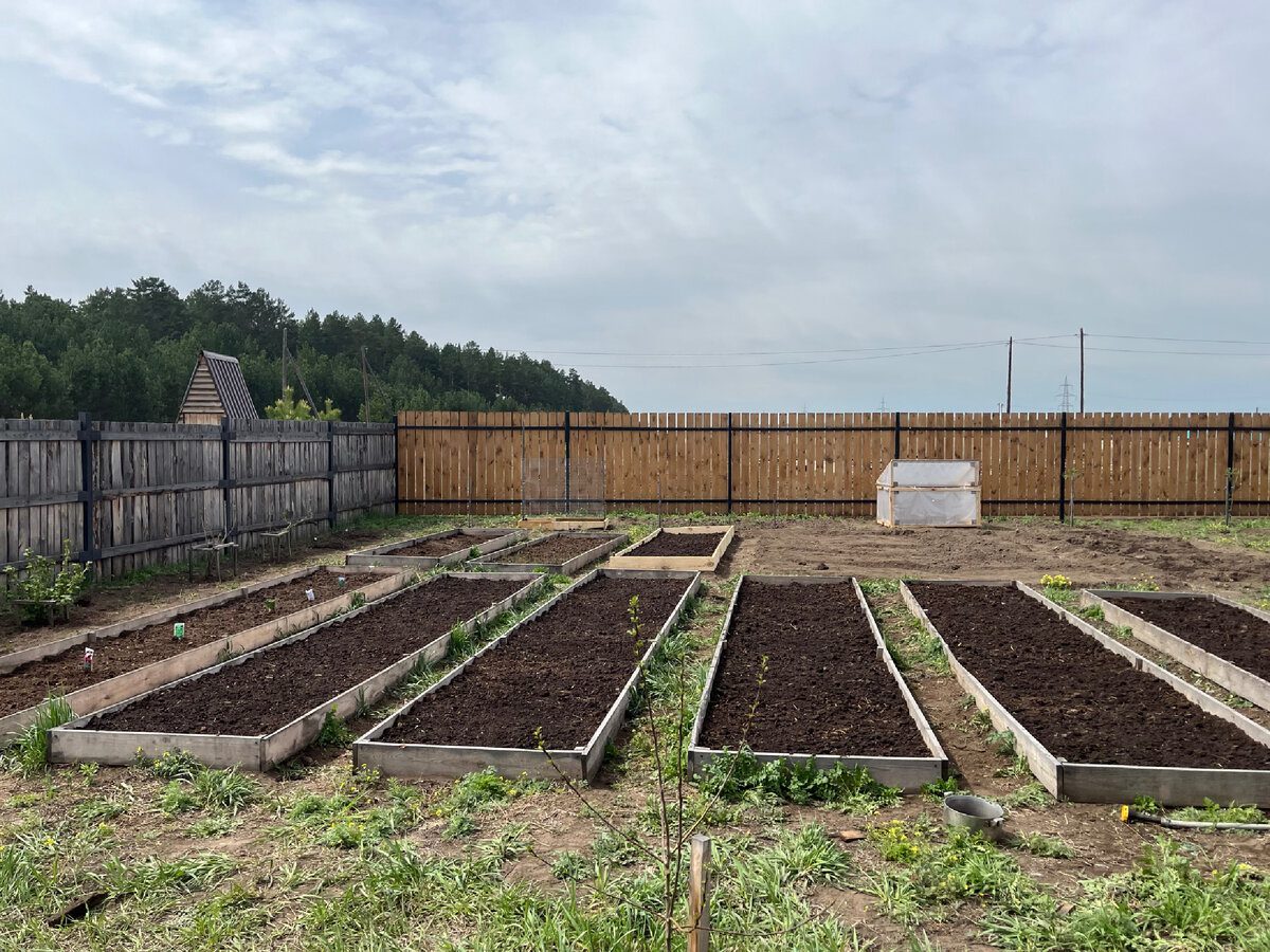 Садівники розповіли, що робити 2 березня на ділянці згідно з місячним календарем — поради