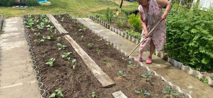 Наближаються ті самі 2 дні, коли город ставимо на “стоп”: не можна ні підживлювати, ні садити