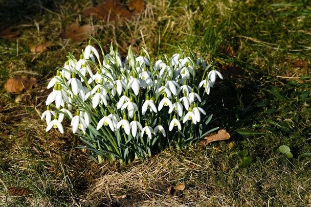Народні прикмети 29 березня / © pexels.com