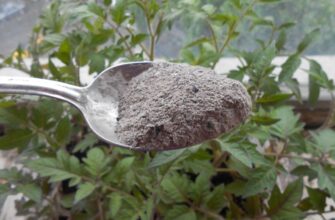 Зола з мангалу після шашлику – це скарб: вношу 1-2 склянки в ґрунт перед перекопуванням