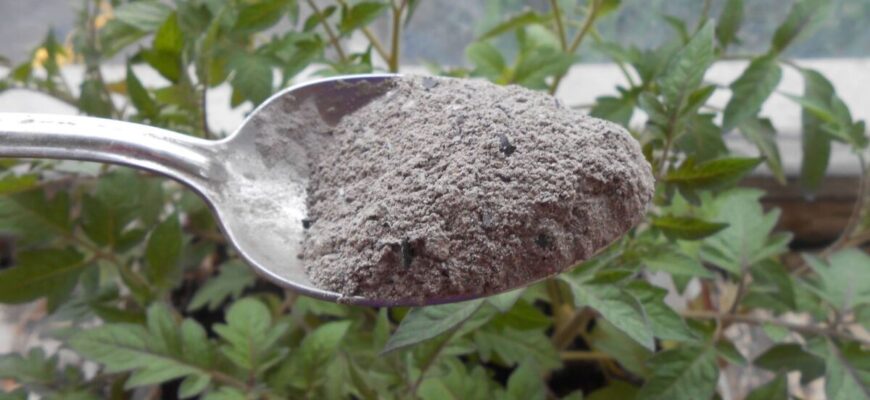 Зола з мангалу після шашлику – це скарб: вношу 1-2 склянки в ґрунт перед перекопуванням Зола з мангалу після шашлику – це скарб: вношу 1-2 склянки в ґрунт перед перекопуванням