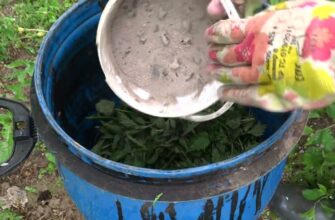 Домашнє добриво для “тонн урожаю”: 1 л на 10 л води – всі “розумні городники” його готують