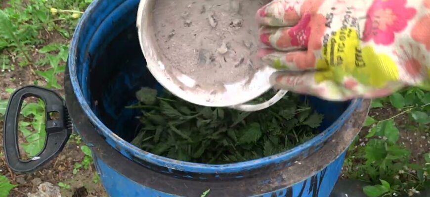 Домашнє добриво для “тонн урожаю”: 1 л на 10 л води – всі “розумні городники” його готують Домашнє добриво для “тонн урожаю”: 1 л на 10 л води – всі “розумні городники” його готують