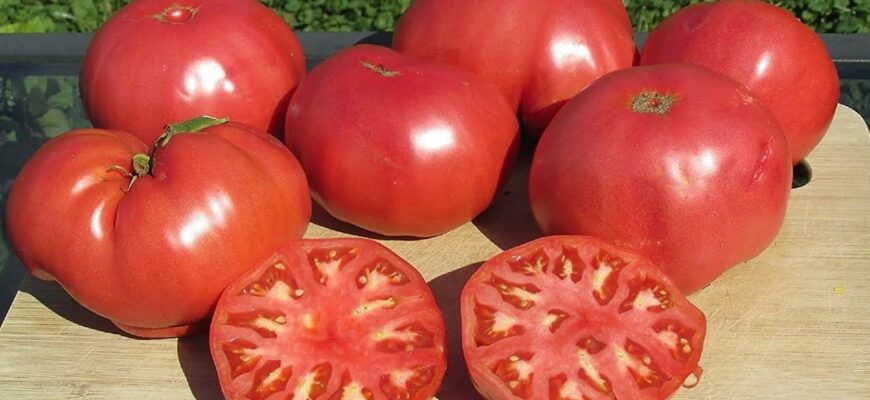 Зуб даю, що ці 3 сорти томатів більше не посаджу ніколи: кислі, водянисті і взагалі на 0 з 10 Зуб даю, що ці 3 сорти томатів більше не посаджу ніколи: кислі, водянисті і взагалі на 0 з 10