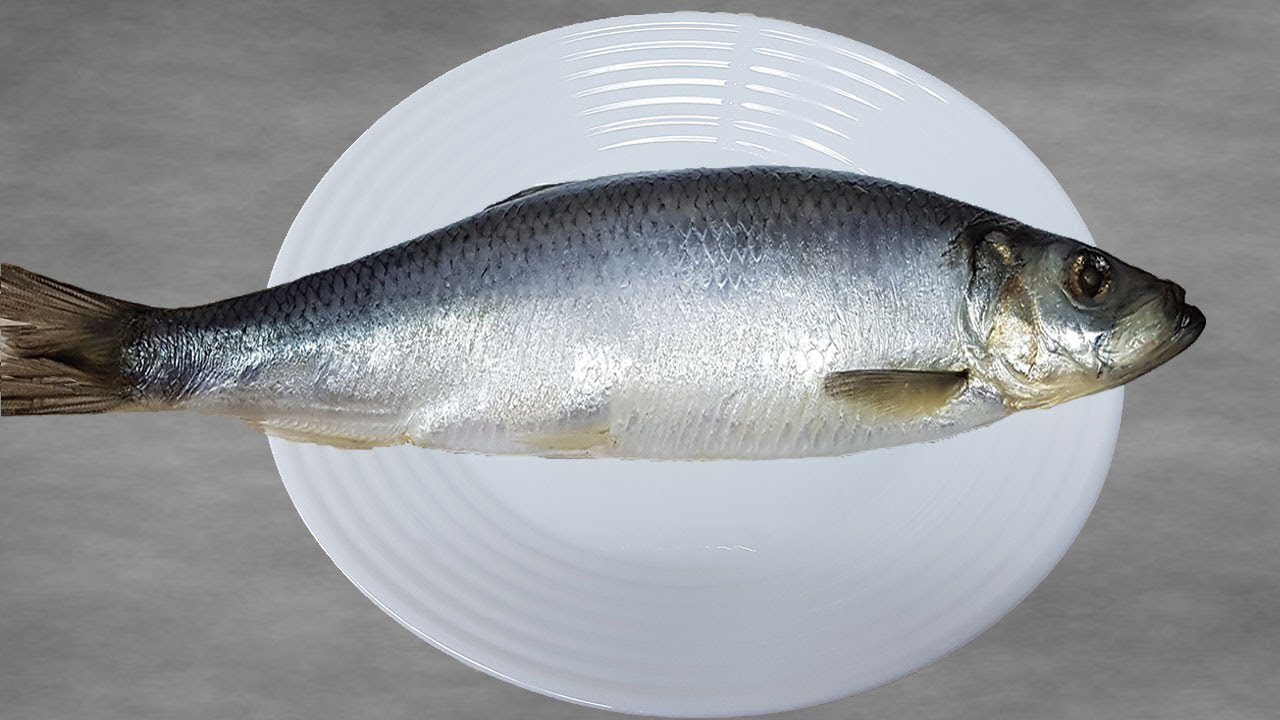Кулінари розповіли, як просто та швидко почистити рибу в домашніх умовах