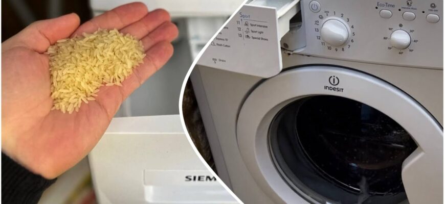Кладу 2 “жменьки” рису в пральну машину – і проблема із запахом та пліснявою вирішується: трюк від господинь Кладу 2 “жменьки” рису в пральну машину – і проблема із запахом та пліснявою вирішується: трюк від господинь