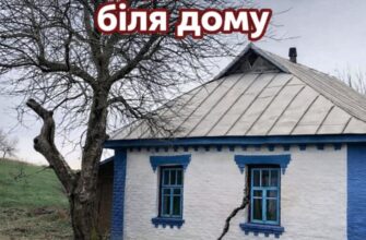 Чому горіхові не місце біля вашого дому, та чим саме він може зашкодити
