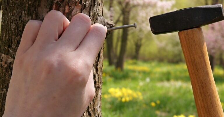 Чому наші діди завжди забивали цвях в яблуню, та яку користь це прин0сить. Чому наші діди завжди забивали цвях в яблуню, та яку користь це прин0сить.