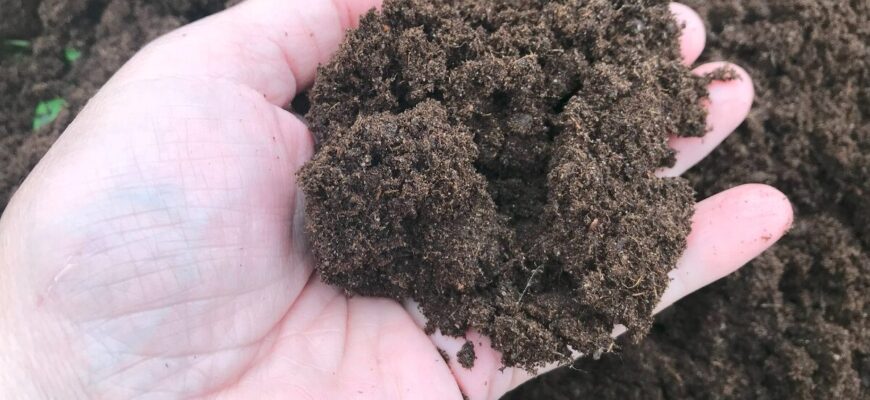 Не азот першим: ось чому 9 з 10 дачників підживлюють сад у березні неправильно – і як це виправити зараз Не азот першим: ось чому 9 з 10 дачників підживлюють сад у березні неправильно – і як це виправити зараз