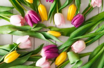 Кар’єрний прорив – Козорогам, нові можливості – Терезам: гороскоп на 8 березня