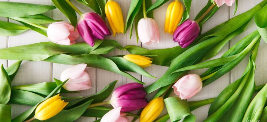 Кар’єрний прорив – Козорогам, нові можливості – Терезам: гороскоп на 8 березня Кар’єрний прорив – Козорогам, нові можливості – Терезам: гороскоп на 8 березня