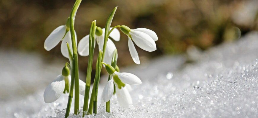 Мороз вночі та «плюси» вдень: Якої погоди чекати на Рівненщині 7 березня Мороз вночі та «плюси» вдень: Якої погоди чекати на Рівненщині 7 березня