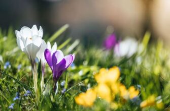 Україну охопить суттєве потепління: Коли «злетять» градуси