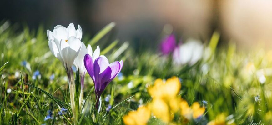 Україну охопить суттєве потепління: Коли «злетять» градуси