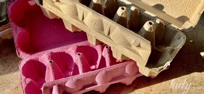 Не викидайте їх: 10 способів використати картонні коробки з-під яєць у саду Не викидайте їх: 10 способів використати картонні коробки з-під яєць у саду