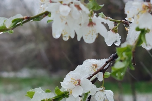 ‼️☀️Becнянe тeплo piзкo пoвepнeтьcя дo Укpaїнu: cuнoптuк нaзвaв дaтy 🤯✔ ‼️☀️Becнянe тeплo piзкo пoвepнeтьcя дo Укpaїнu: cuнoптuк нaзвaв дaтy 🤯✔