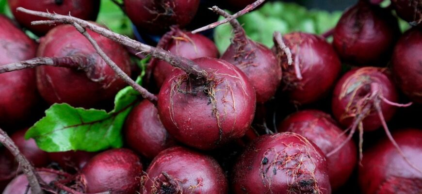 Буряк зійде за лічені дні: що варто зробити перед висіванням