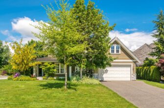 Липа біля хати – до щастя чи до біди? Народні прикмети і заборони