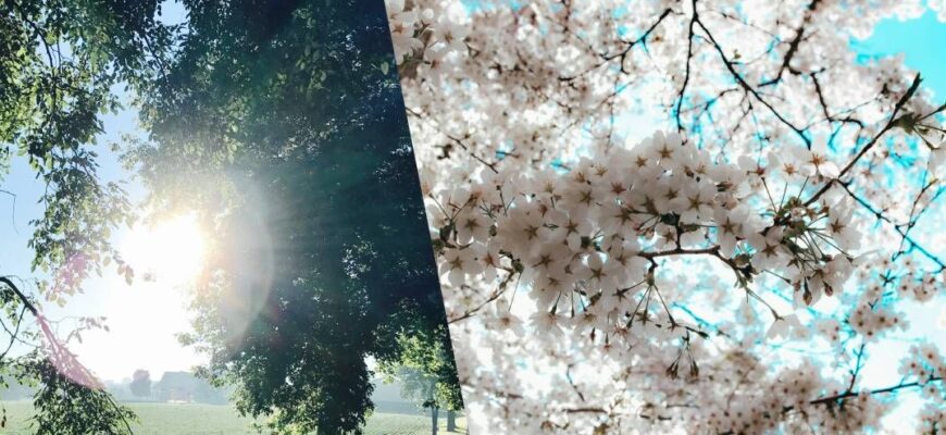 Чи закінчаться морози, і чи повернуться опади в Україну