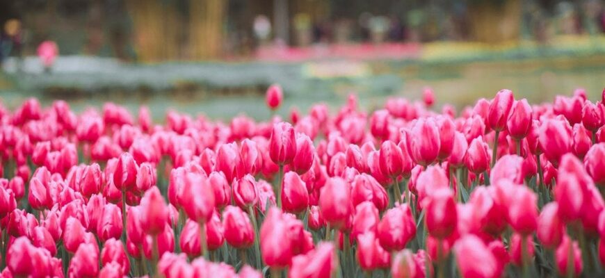 Повернення “мінусів” і навіть снігу: Україну накривають погодні гойдалки та нове похолодання