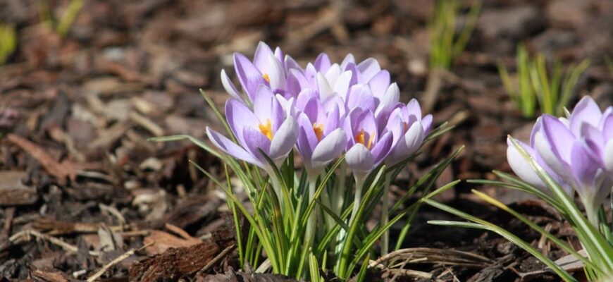 Погоду в Україні змінить циклон з Балкан: синоптики попередили, де буде +18, а де очікувати дощів Погоду в Україні змінить циклон з Балкан: синоптики попередили, де буде +18, а де очікувати дощів