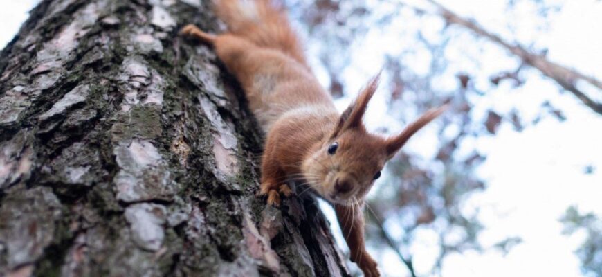 До України суне нашестя холодних фронтів: де очікувати снігу та заморозків
