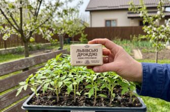 Навіщо досвідчені господині несуть пачку дріжджів у квітні на город: хитрість, яка збільшить урожай у 2 рази