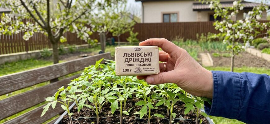 Навіщо досвідчені господині несуть пачку дріжджів у квітні на город: хитрість, яка збільшить урожай у 2 рази