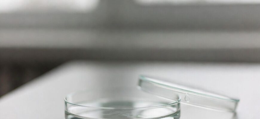 Епідемія ящуру в Росії: як передається і чим небезпечна для людини Епідемія ящуру в Росії: як передається і чим небезпечна для людини