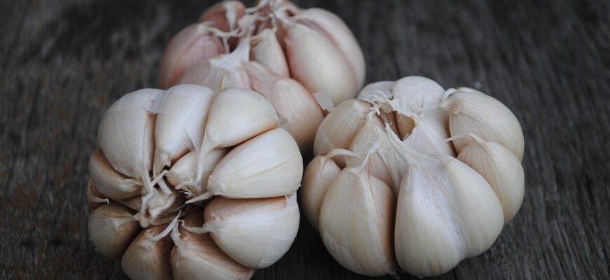 Потужніше золи, дріжджів і гною разом узятих: підживлюю часник у березні 2026 лише так Потужніше золи, дріжджів і гною разом узятих: підживлюю часник у березні 2026 лише так