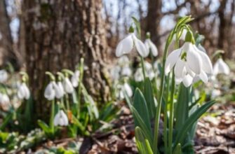 🚨 УВАГА! На Україну насувається погодний армагеддон: синоптики оголосили штормове попередження! ⛈️🔥