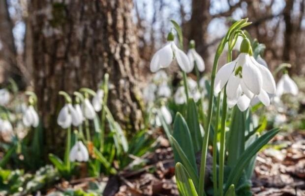 🚨 УВАГА! На Україну насувається погодний армагеддон: синоптики оголосили штормове попередження! ⛈️🔥 🚨 УВАГА! На Україну насувається погодний армагеддон: синоптики оголосили штормове попередження! ⛈️🔥