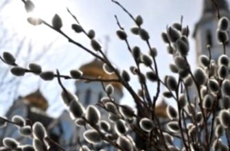 Вербна неділя 2026: як до свята “причетні” котики і яких традицій українці дотримуються віками