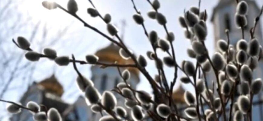 Вербна неділя 2026: як до свята “причетні” котики і яких традицій українці дотримуються віками