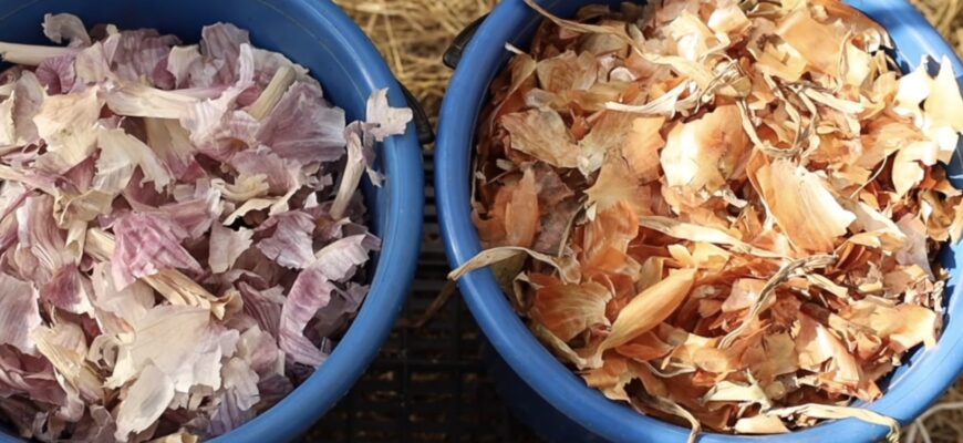 Беру 1 пакет лушпиння від цибулі й часнику – і несу на город: ідеальне рішення для доброго врожаю Беру 1 пакет лушпиння від цибулі й часнику – і несу на город: ідеальне рішення для доброго врожаю