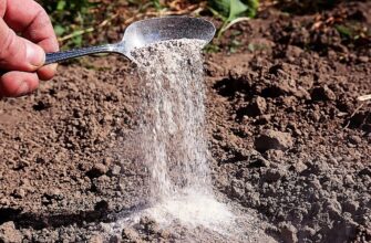 Знайшла пачку борошна, де завелися жучки – і винесла на город: 3 “трюки”, як його використати на грядках