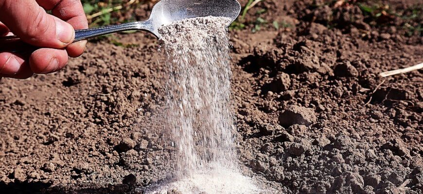 Знайшла пачку борошна, де завелися жучки – і винесла на город: 3 “трюки”, як його використати на грядках Знайшла пачку борошна, де завелися жучки – і винесла на город: 3 “трюки”, як його використати на грядках