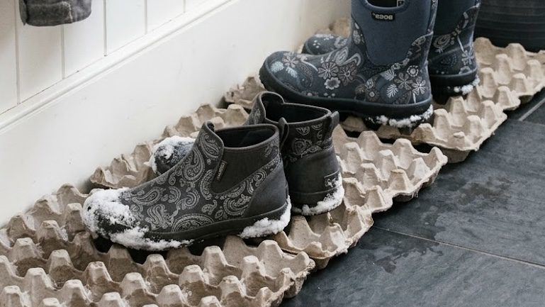 Як використовувати лотки з-під яєць у побуті Як використовувати лотки з-під яєць у побуті