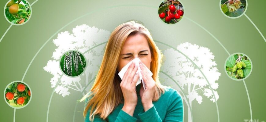 Календар цвітіння алергенних рослин в Україні: коли чекати на загострення