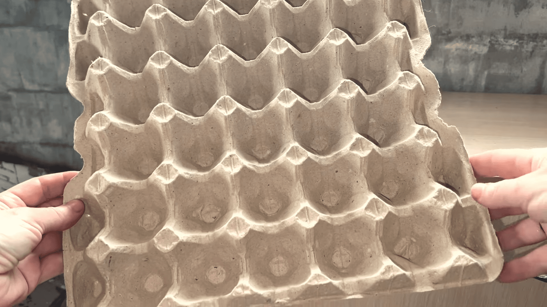 Городники розповідь, як використовувати лотки з-під яєць на грядках