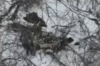 Лубінець озвучив страшну кількість страчених українських полонених