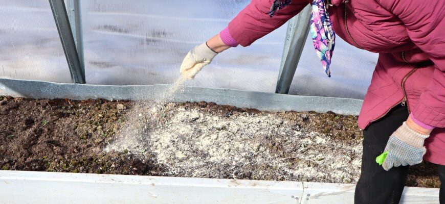 Мій дід з Чернігова вносить у грядки ЦЕ за 2 тижні до посадки овочів: урожаю має вдвічі більше Мій дід з Чернігова вносить у грядки ЦЕ за 2 тижні до посадки овочів: урожаю має вдвічі більше