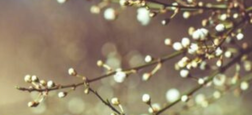 Коли відчутно похолоднішає, і як погіршиться погода в Україні Коли відчутно похолоднішає, і як погіршиться погода в Україні